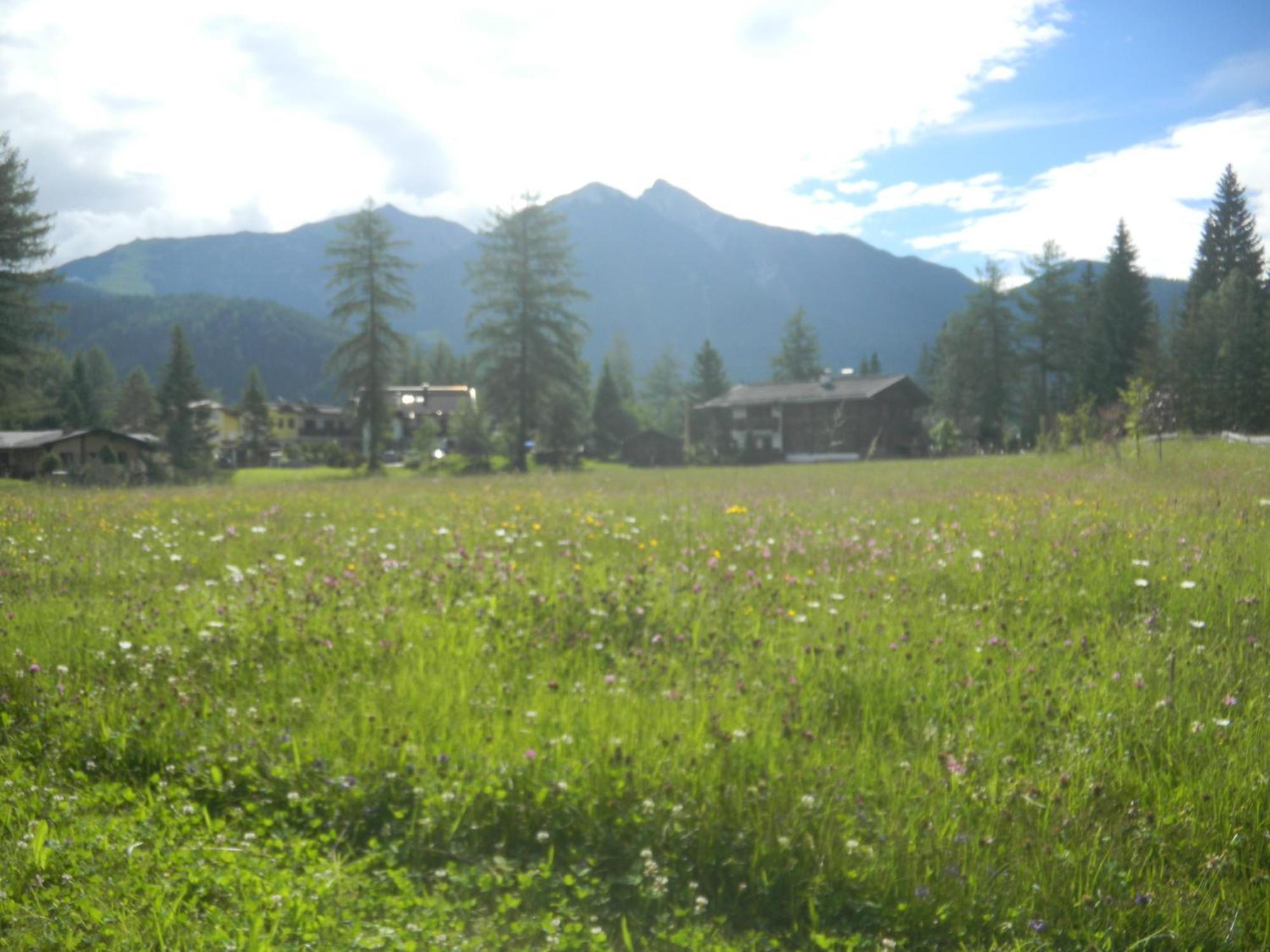 Landhaus Charlotte Am Geigenbuehel -Apartments Seefeld in Tirol Exteriér fotografie