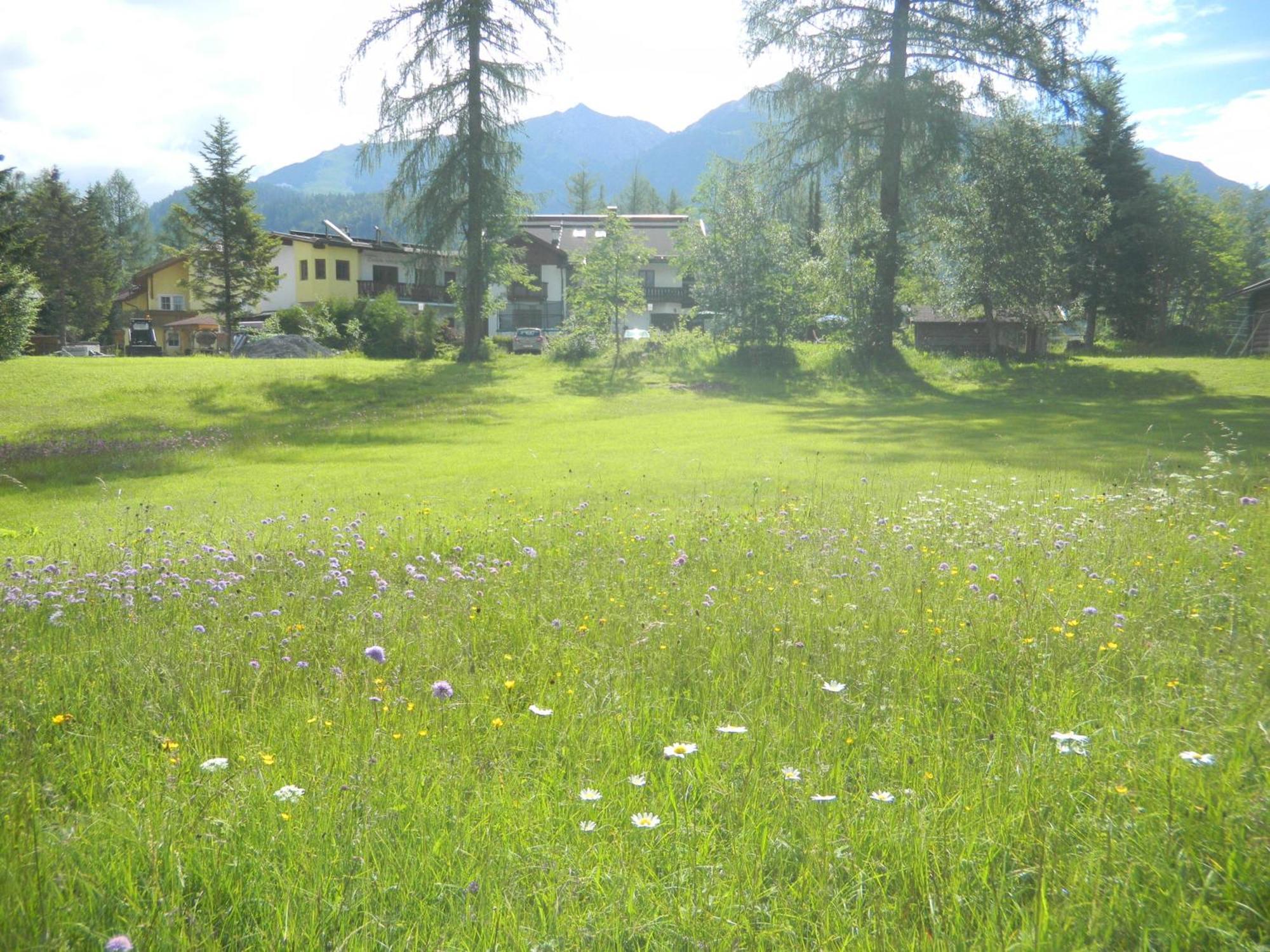 Landhaus Charlotte Am Geigenbuehel -Apartments Seefeld in Tirol Exteriér fotografie